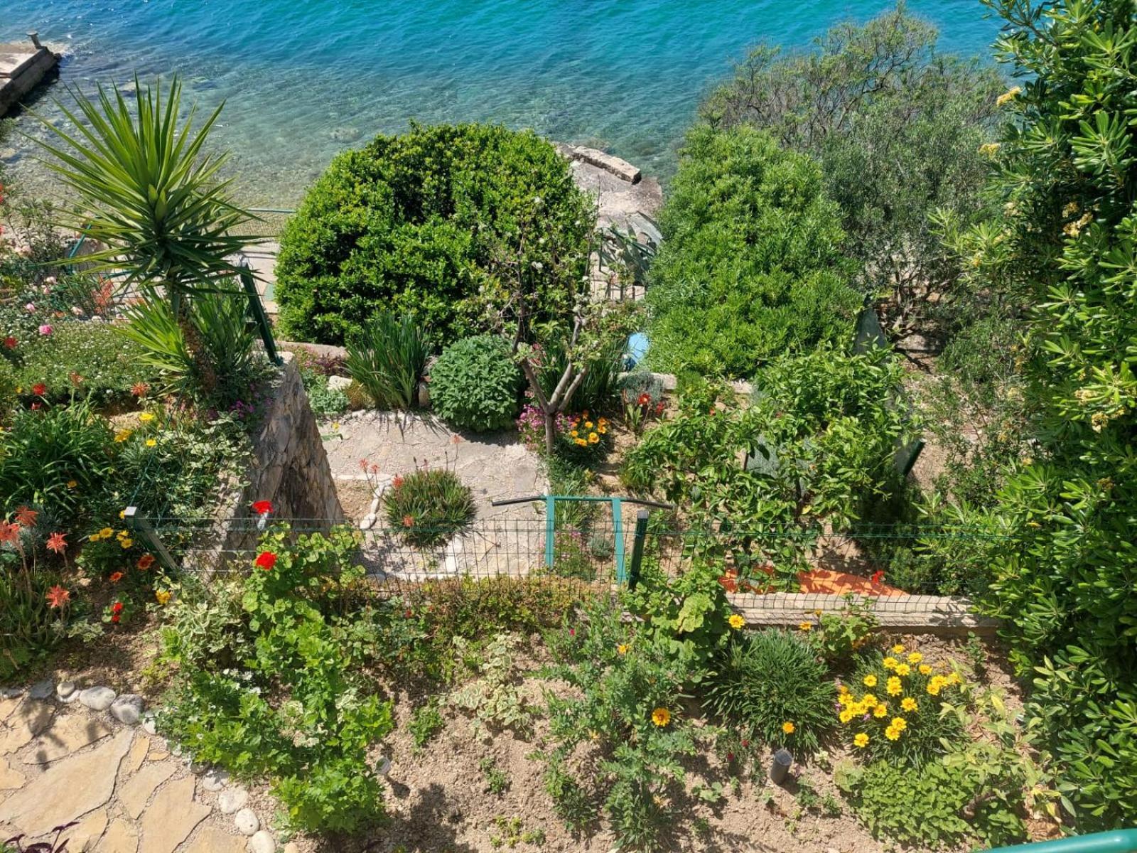 Apartment Toncica Omiš Buitenkant foto